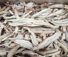 오징어채(몸,귀채) 4kg